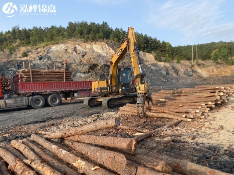 松木樁批發價格是多少？