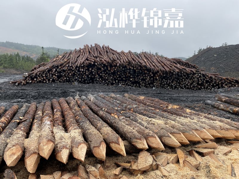 6米長松木樁有哪些作用，多少錢一根？