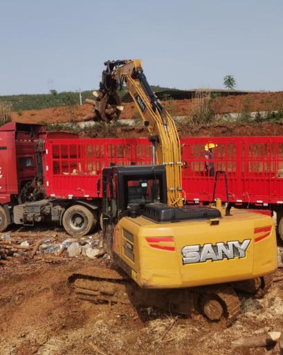 松木原木、松木條,漲勢如虹,現在搶購最劃算(附松木原木供應廠家介紹)