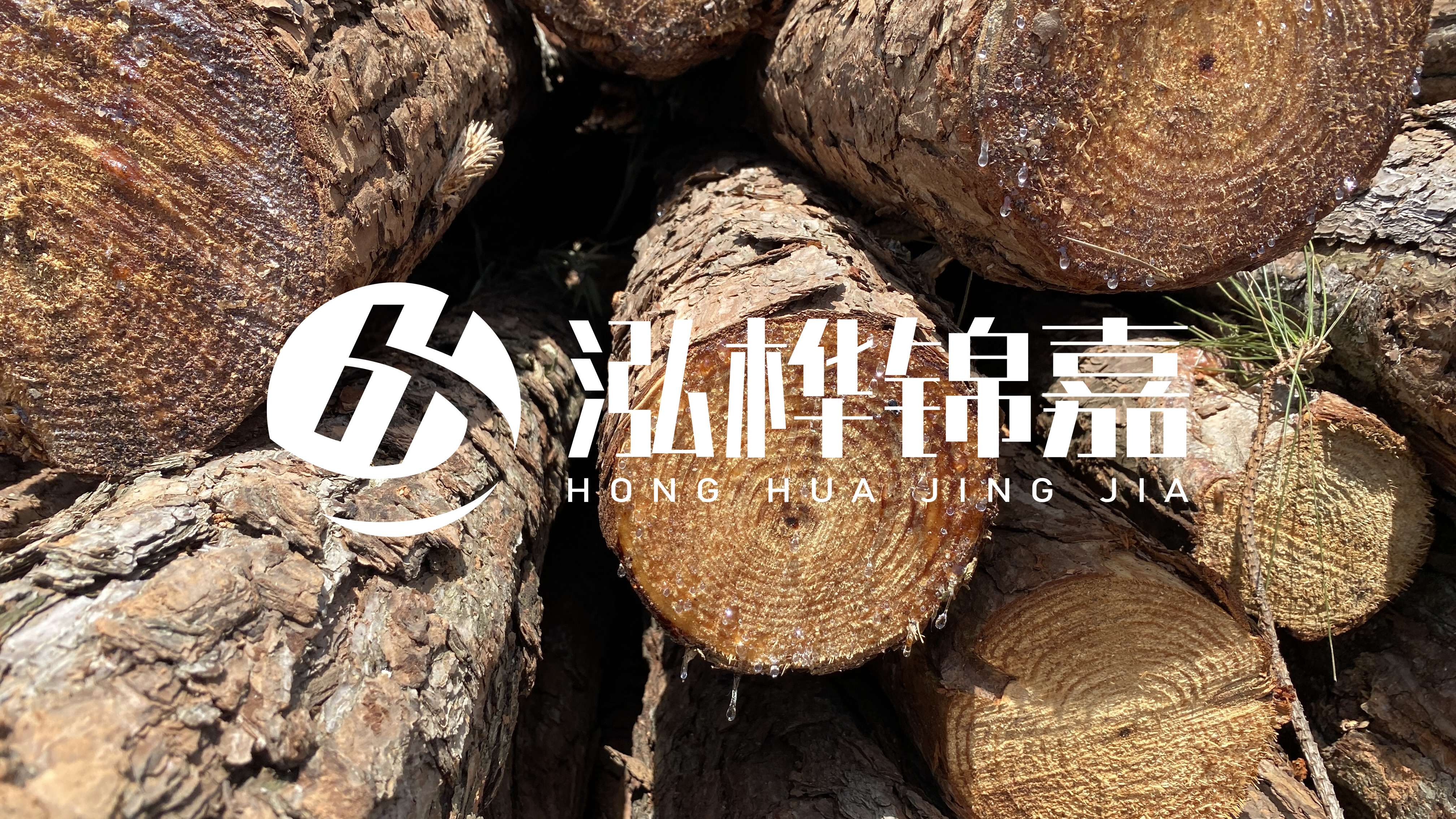 為什么要用松木樁治理河道?