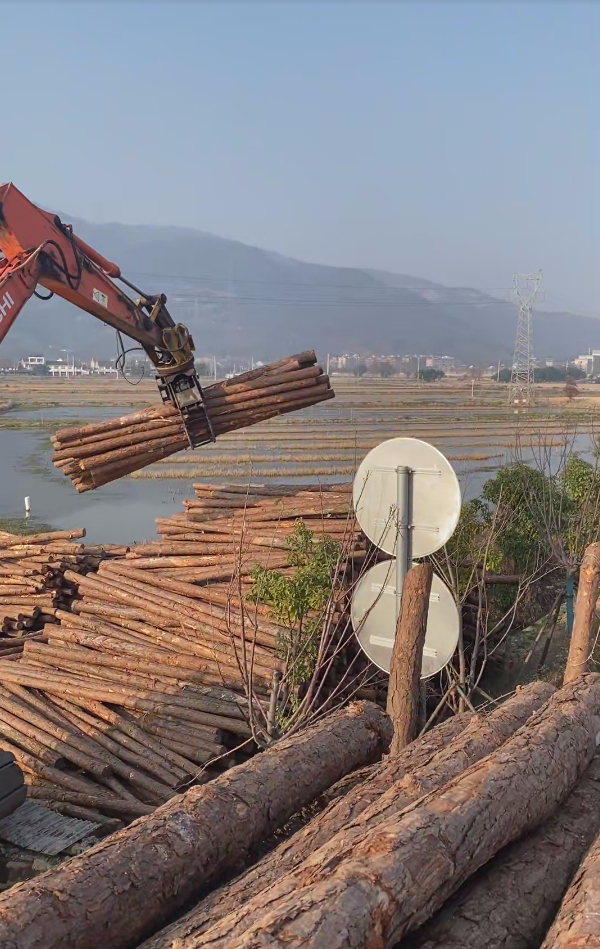 深圳松木樁施工專家-平原松木樁施工優(yōu)勢?