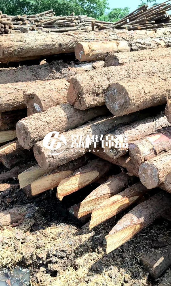 荊門挖機(jī)打木樁專業(yè)施工-河道打木樁前是否要清理河道底部雜物？