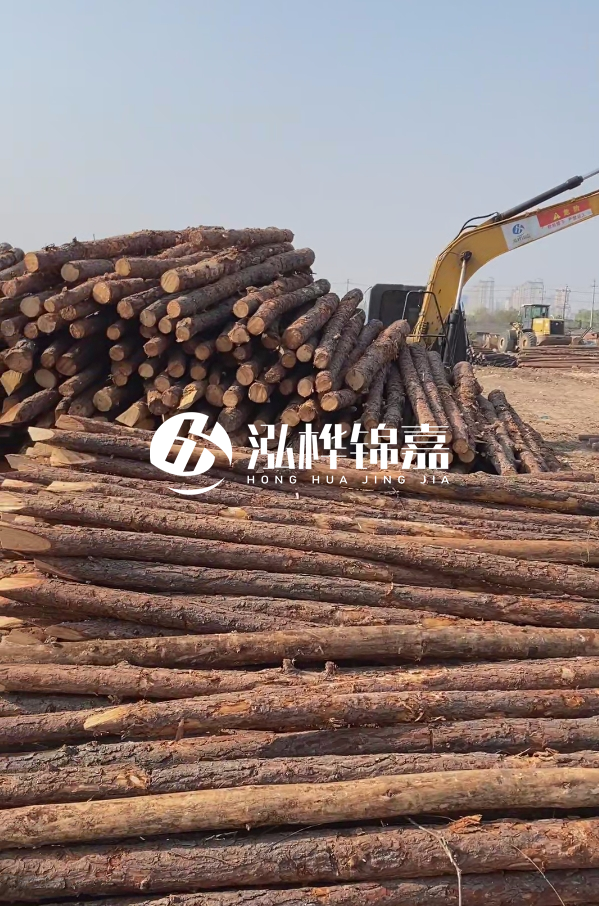 油松用于打樁木到底好不好？讓專業打樁隊告訴你！