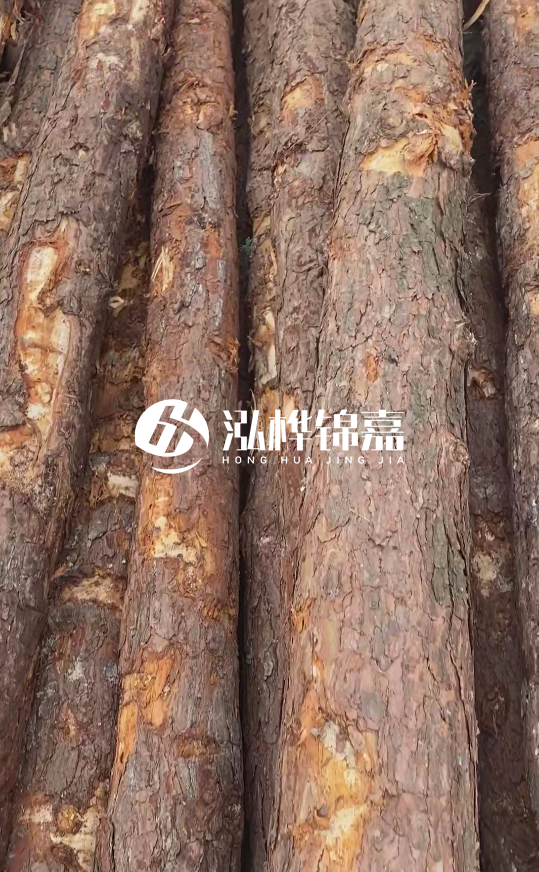 浙江地區大量供應松木樁，源頭廠家在哪里？