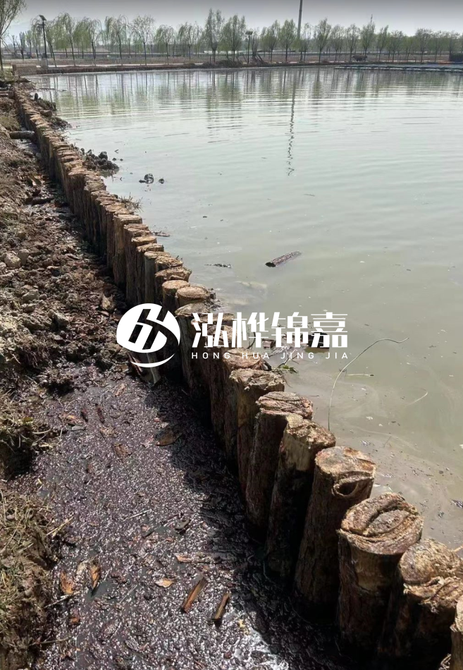 松木樁為什么要一根一根挨著打?秘密在這里!看完恍然大悟!