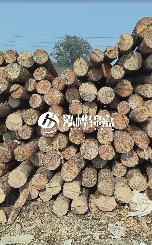 打松木樁多少錢一米 - 4 米松木樁打樁大概多少錢一根？