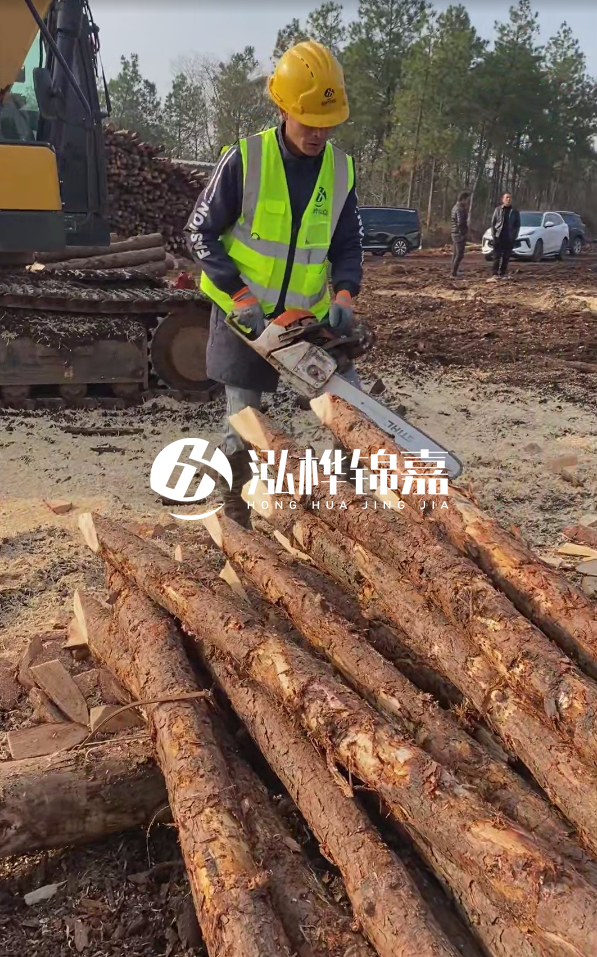 松木樁樁長1.5米稍徑12多少錢一根？樁長1.5米稍徑12大頭多少？