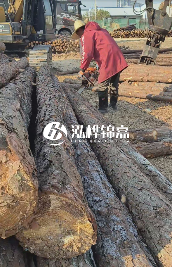 長沙打樁木批發廠家在哪里？聯系方式是什么？