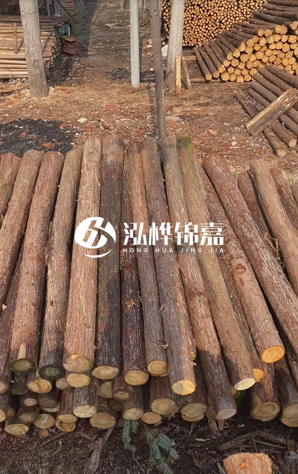 河道護坡選松木樁還是杉木樁？河道木樁一根多少錢？