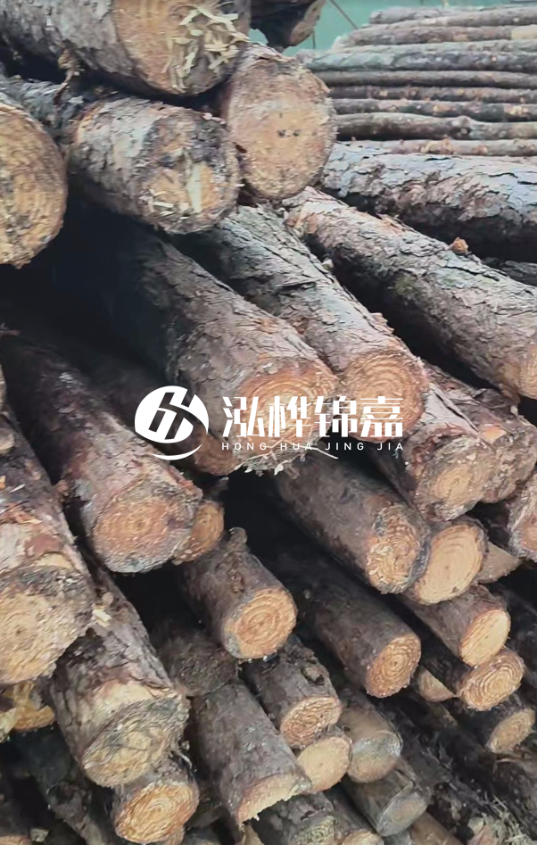 5米12公分防汛木樁多少錢-直徑15公分價格多少？