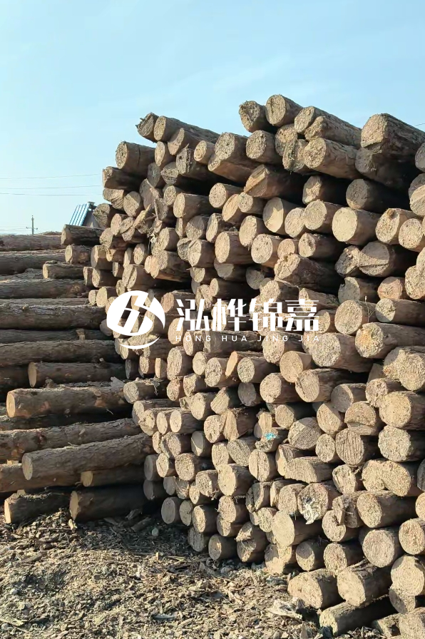 江西哪里有松木樁賣-4米12-14公分松木樁價格揭秘！