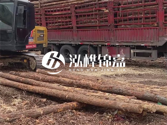 江西2米10-12松木樁多少錢一根?10-15公分價格又是多少?