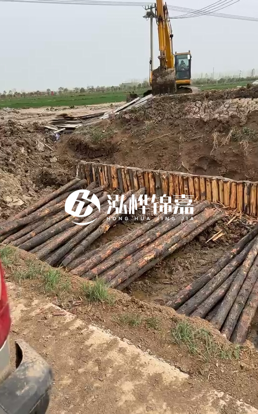 4米直徑12-13油松批發價最低多少?報價含稅含運嗎?