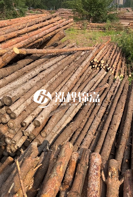 如何選擇合適的松木樁廠家?采購松木樁需要考慮的因素有哪些?