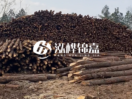 地基打木樁用什么木材 - 地基打木樁的能撐幾年？