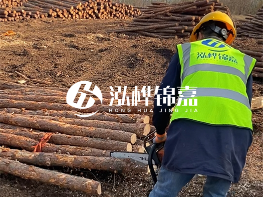 哪些木樁廠家能提供快速定制服務(wù)？哪些木樁廠家在國(guó)內(nèi)有多個(gè)生產(chǎn)基地？