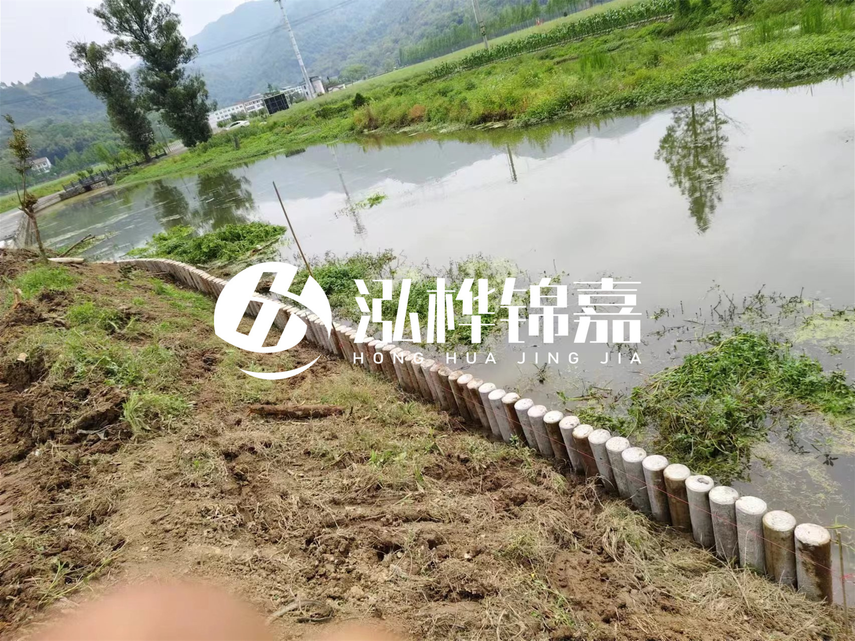 松木樁加固河道與水泥樁對(duì)比如何？哪一種更加適合您？