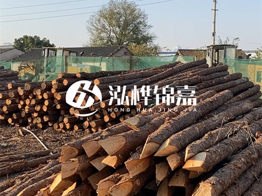 江西松木樁批發廠家泓樺錦嘉 - 松木廠家批發電話地址？