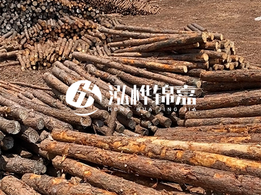 浙江打樁木源頭廠家泓樺錦嘉-松木廠家批發(fā)電話地址?